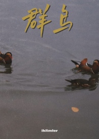 群鸟学艺的故事视频