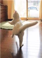 (连载)每次快穿睁眼都在被pp